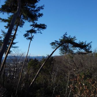 大澄山から富士山