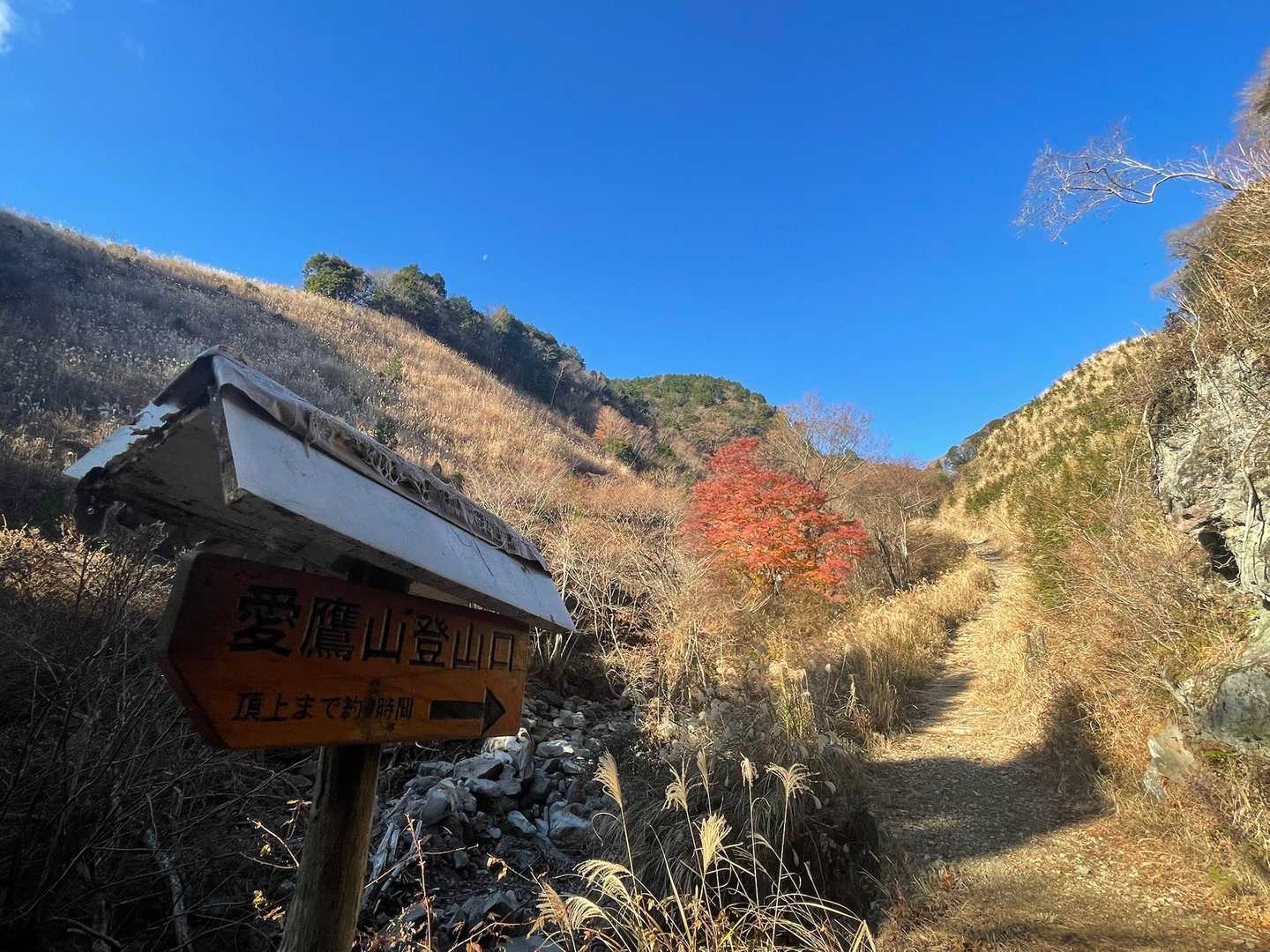 愛鷹山登山口に到着