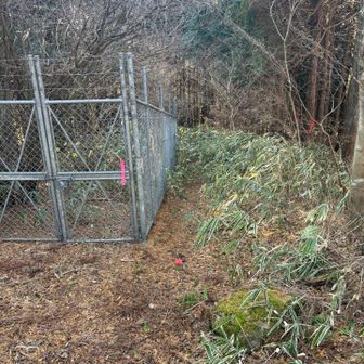 気になっていたこちらへ。ダイトレ合流するまで意外なほどちゃんとした道