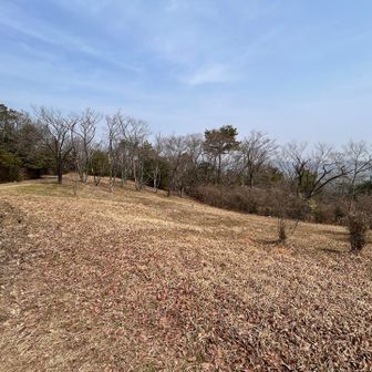 この辺りが鬼城山らしい