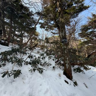 河下山山頂表示🤔もう少し上がどう見てもピークなのに不思議