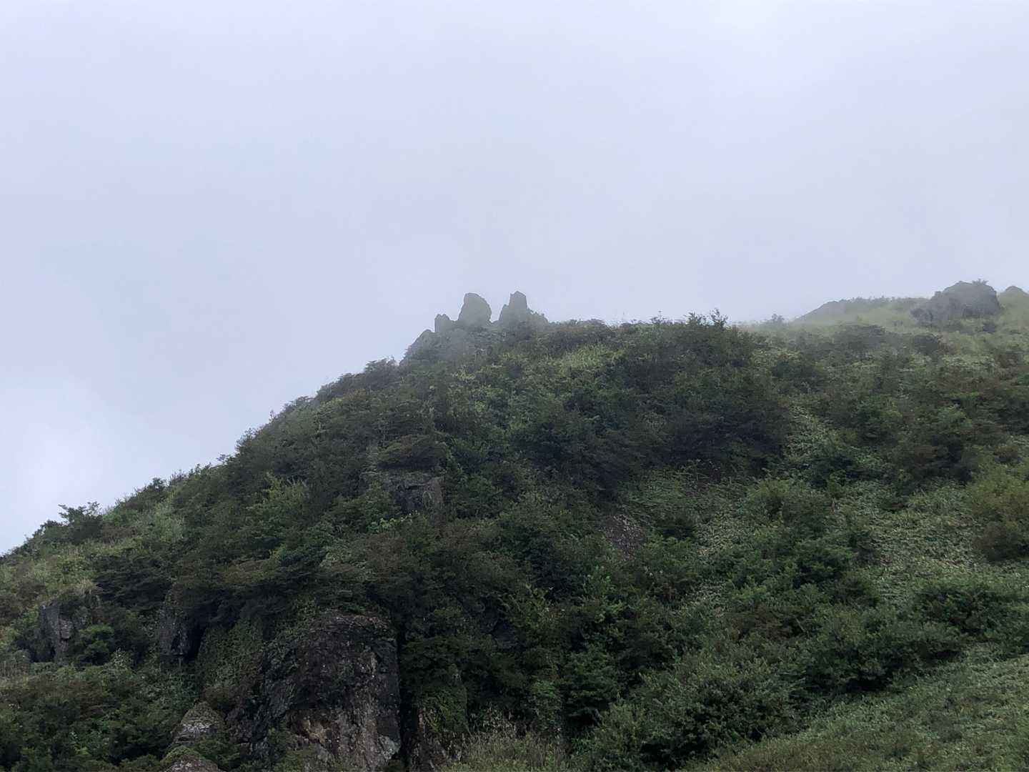 山の文字もガスってる
最近、サカナクションのキャラバンが頭の中を渦巻いてる♪♪♪(´ε｀ )砂漠のラクダ使い　春夏秋冬はあっけない、、、うろ覚えの秘境