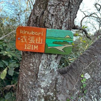 低い割には登りました。