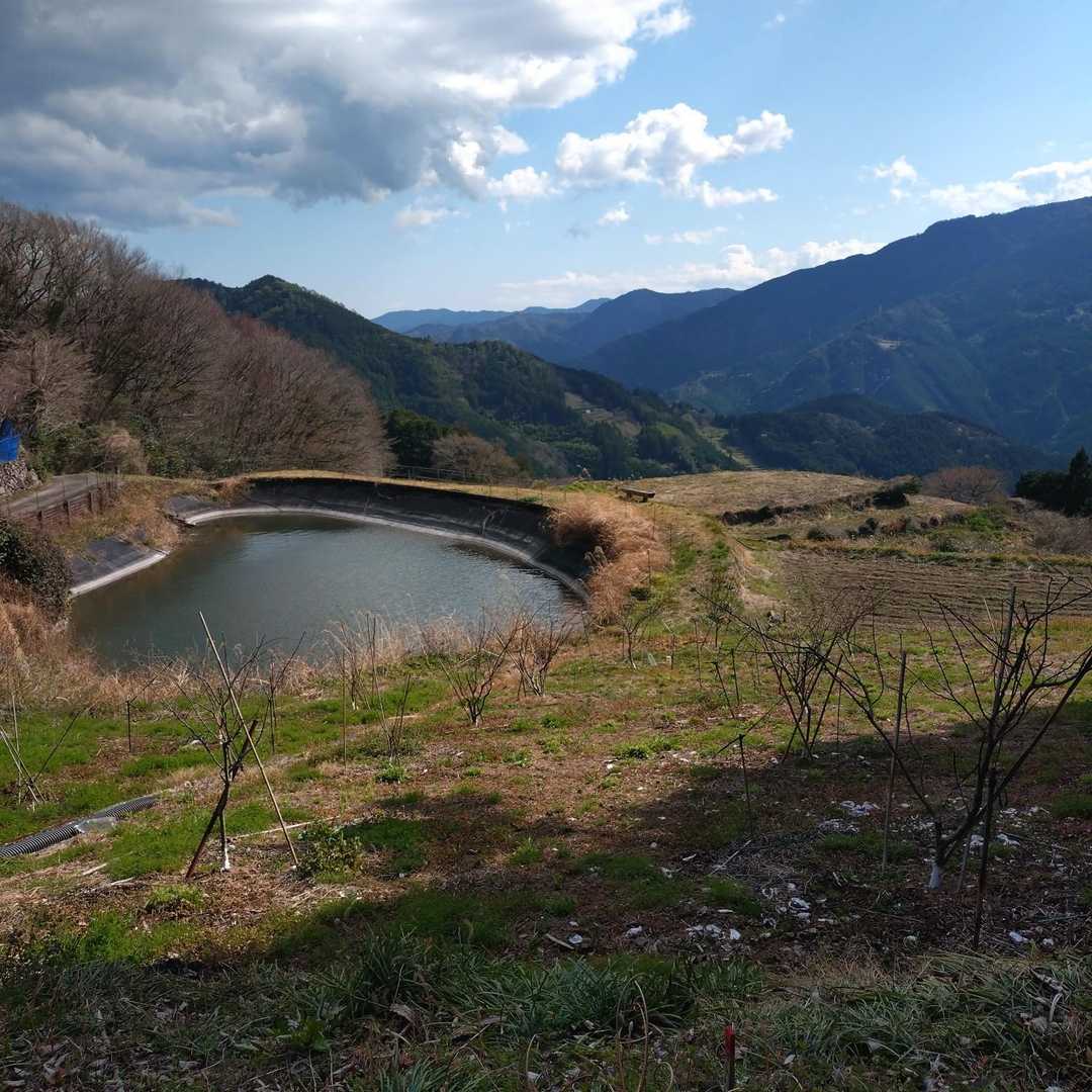 池の所に戻る。