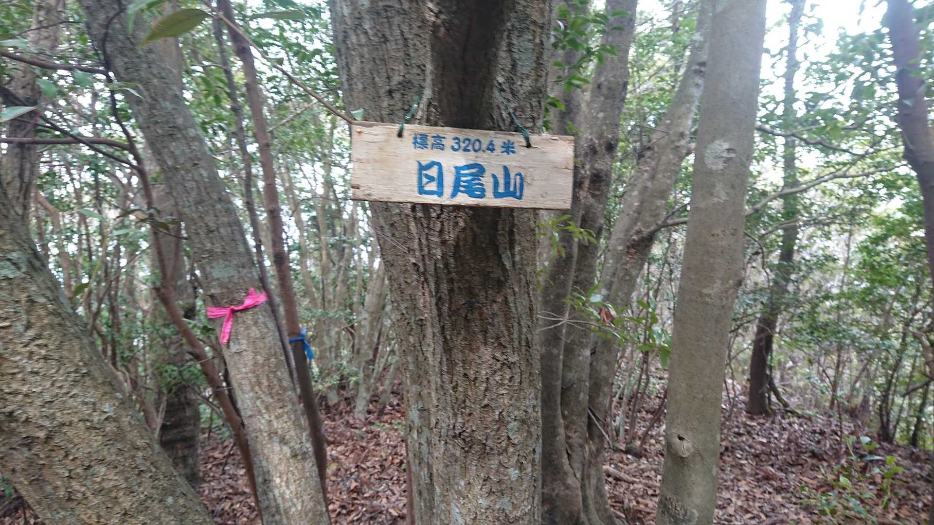 頂上