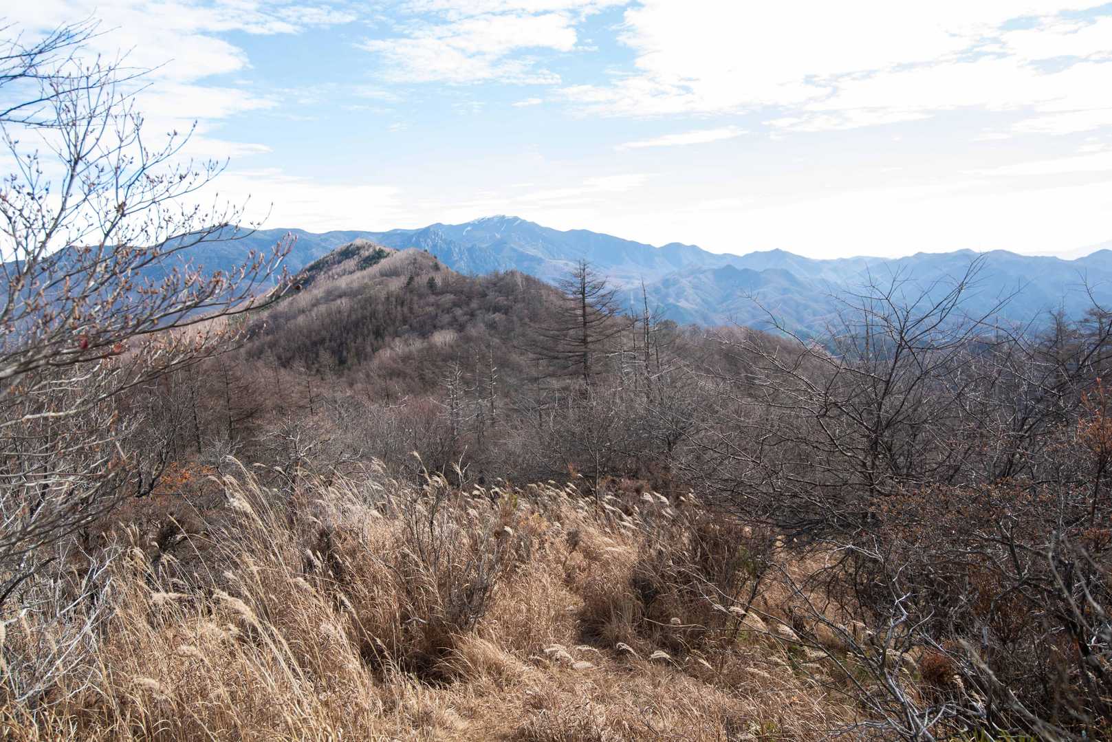 木賊ノ頭近くの開けた場所から、横尾山方向。