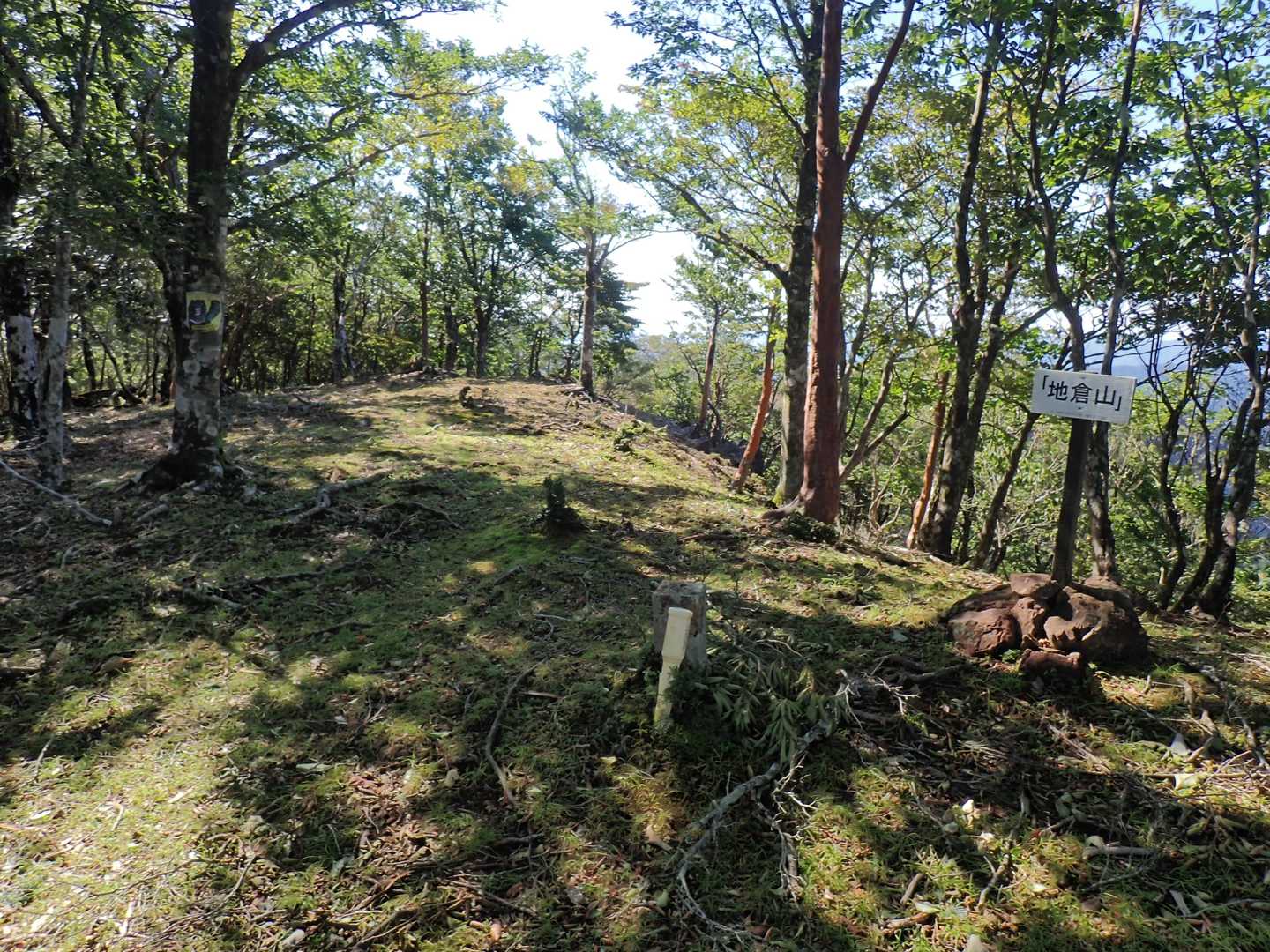 地倉山ピーク、展望無し