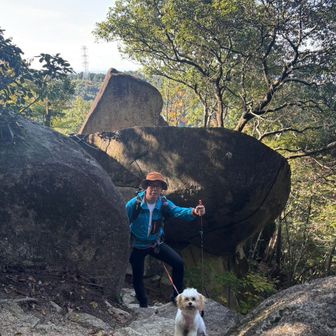 しば　パパとぼたん