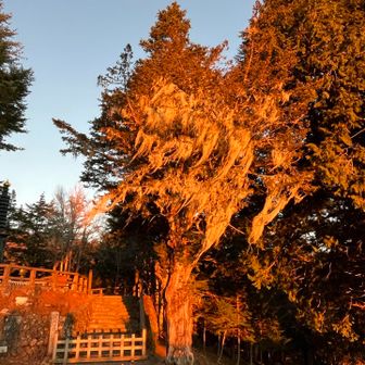 たっぷりのサルオガセもモルゲン。集まっている人たちもみんな赤く染まり全身で太陽の力を受け取って幸せホルモン分泌中！