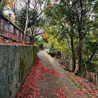 三鈷寺さんを退山し、さらに登っていく