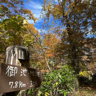 さて、折り返しは「団吉新道」で行きます♪