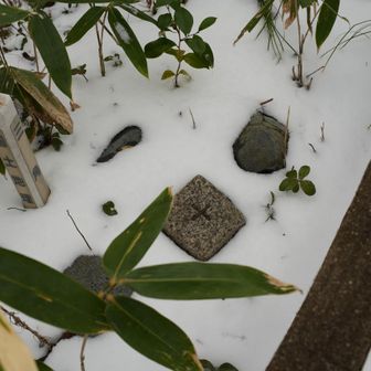 三角点はこの位置にある。今年の初登頂