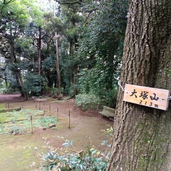 大塚山②
お堂跡があります
ベンチもあります
