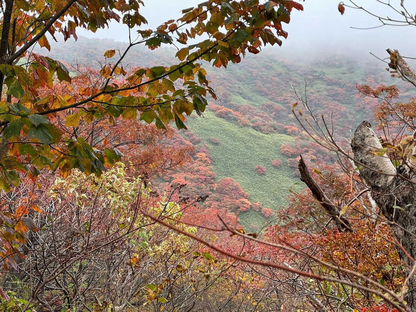 峠の茶屋登山口-朝日の肩 往復コースの写真