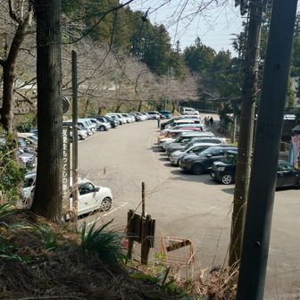 戻りました
すごい混雑具合でした
