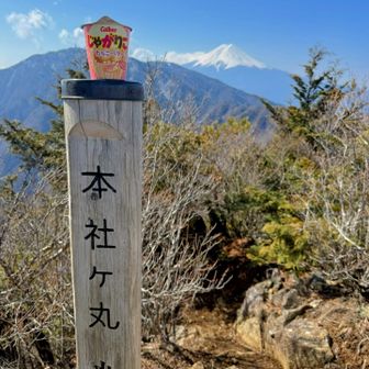 ほんじゃがまるでじゃがりこ。