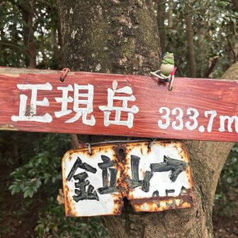 正現岳
景色ないです