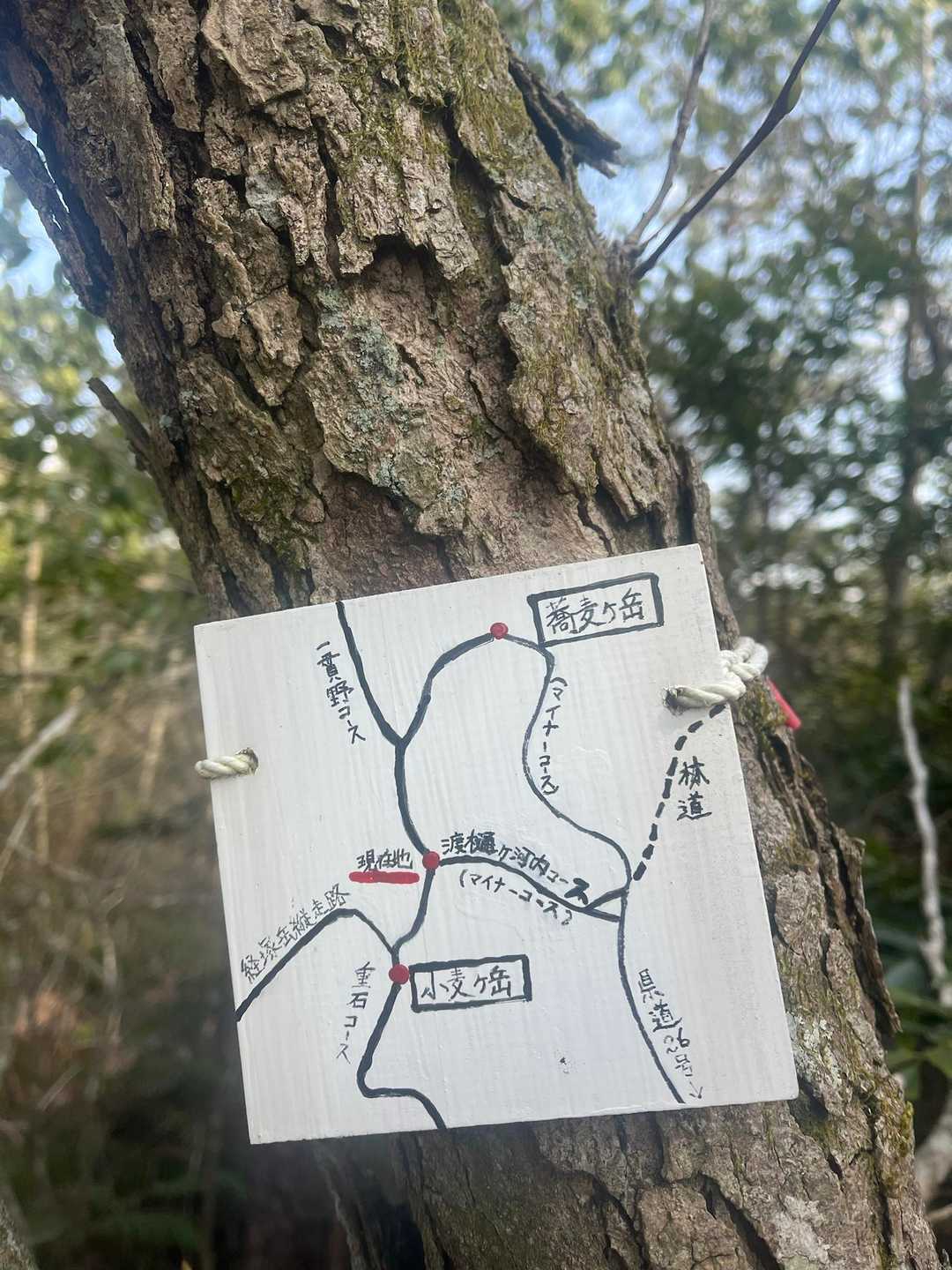 一貫野方面へ

あー、楽しかった✨またお邪魔します😊
無事に下山、ありがとうございました✨