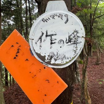 作ノ峰（さくのみね） の標高は 948m ⛰️
