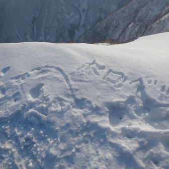 幌別岳山頂🙌
期間限定の山頂標識ありがとうございます🪧