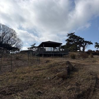 この東屋でランチ🍙
近くでジョウビタキの雌が遊んでいました！
近づいてきて、寄って行くと離れて😊
遊んでくれたのかな？
下山中に木を突く音がして、コゲラにも出会えました