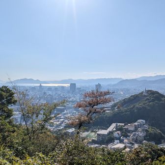 なんとかここまで。龍の頭あたりが下れるか、、、？文字通りよちよち歩きで下山。