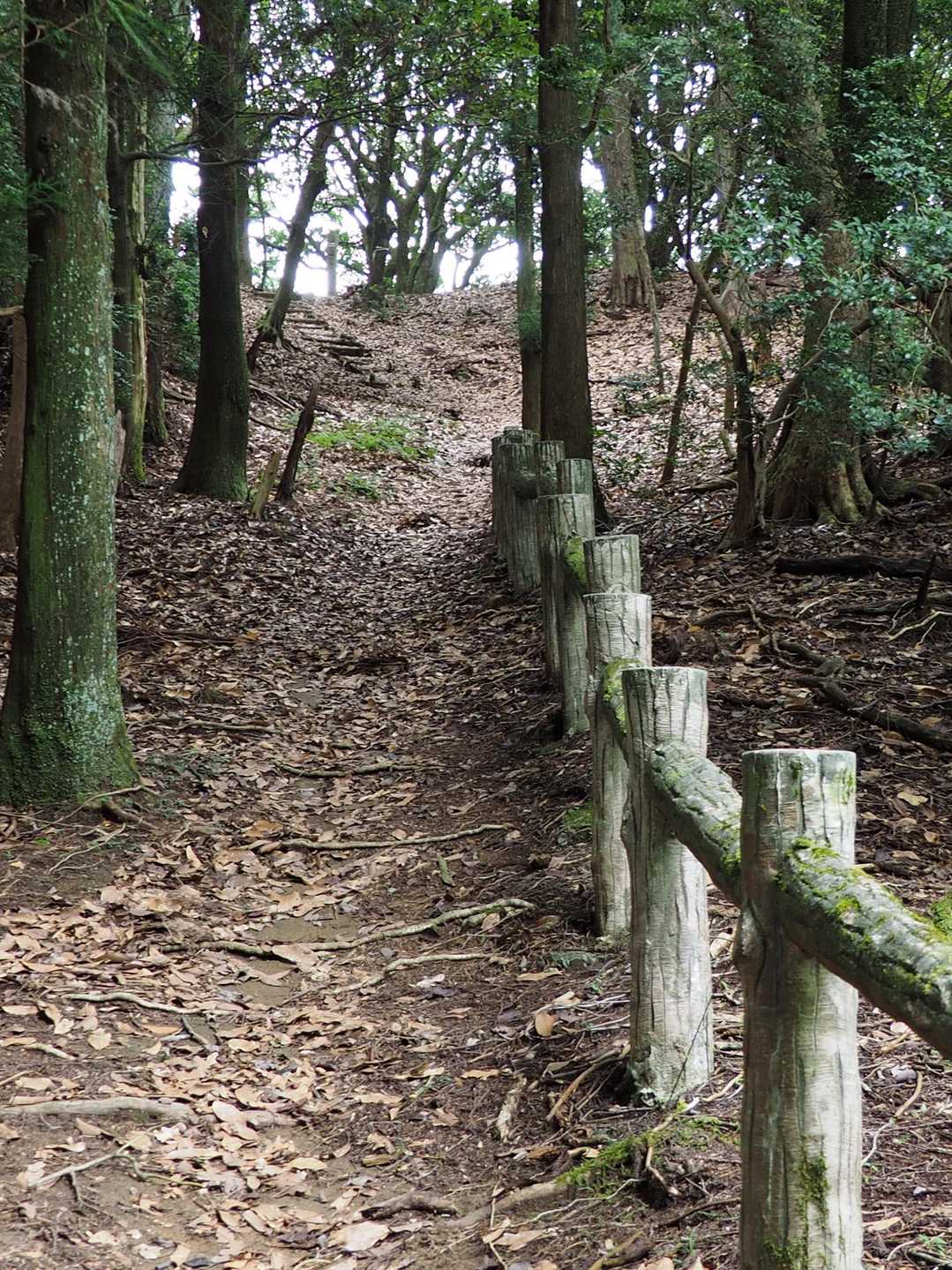 緩やかな道の先はまた石段路。