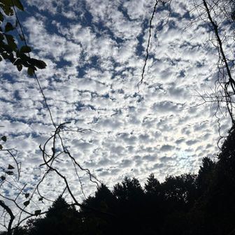 鱗雲☁️綺麗でした🤩

この写真撮影中に不意に「こんにちは」と声をかけられて､反射的に返事して目線👀を合わせたら、
ベースレイヤーと長ズボンのおじさんが🫣
色々見えてるしそれは、アカンって🥹
目に焼きついた...👯‍♂️
デビューした時の嵐の衣装かよ🤣