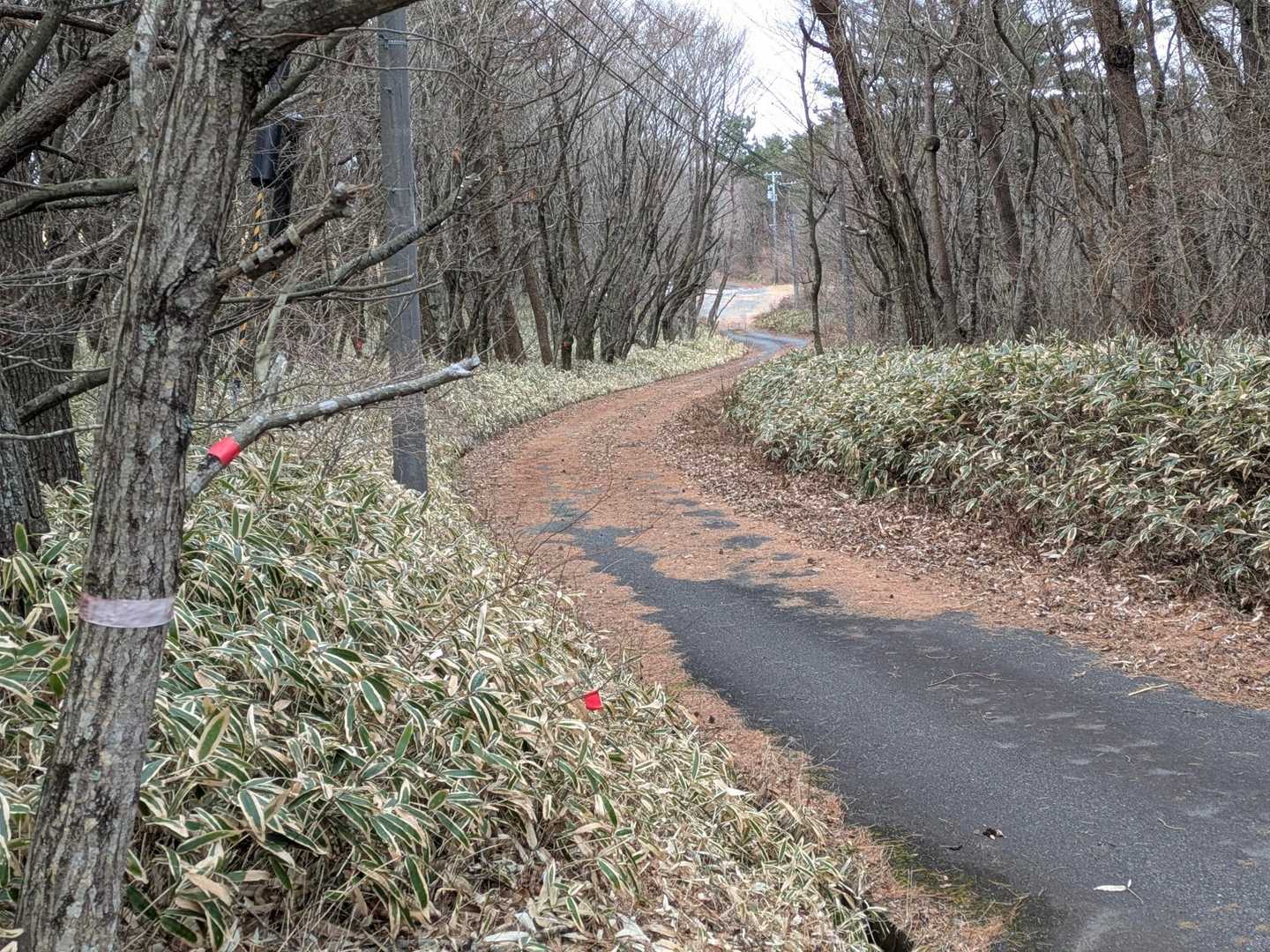 舗装道路に出たよ。