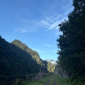 気持ちいい朝です