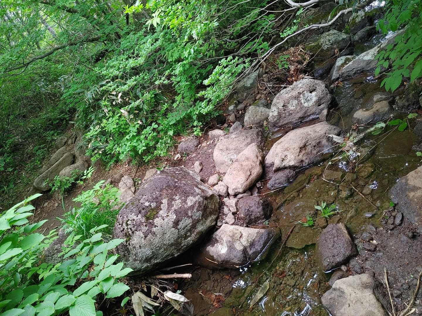 渡渉します