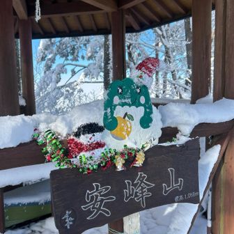 雪を払うと🎄キリムさん🎄