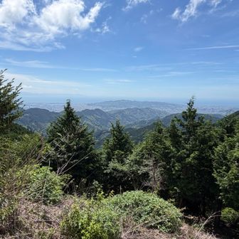 帆掛山、梶原山、日本平、駿河湾、左奥に伊豆半島。
