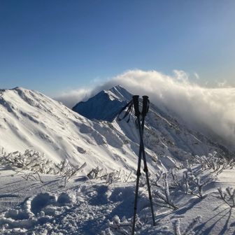 独り占めや✌︎✌︎ 