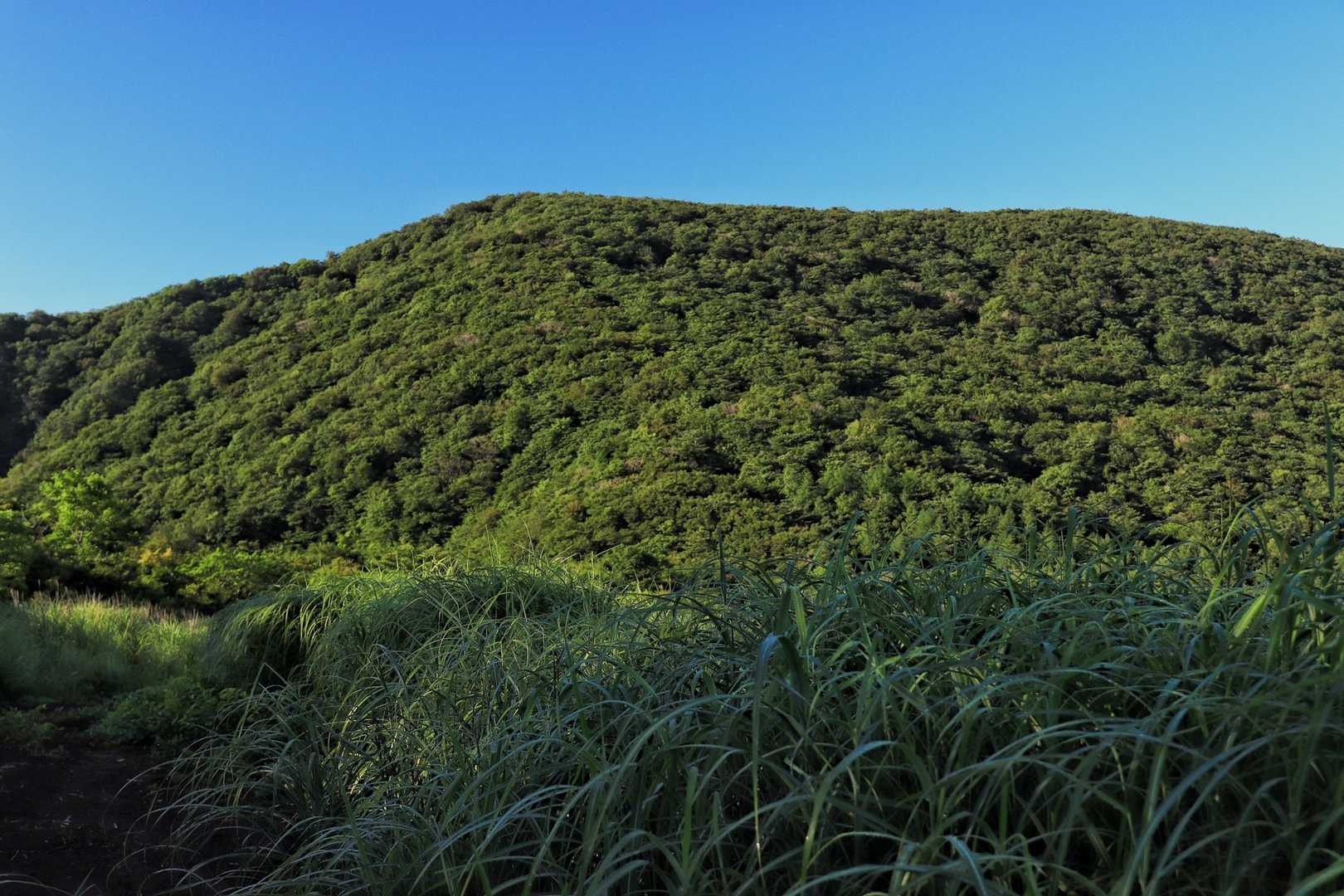 一昨年登った神奈川･山梨･静岡の県境の三国山