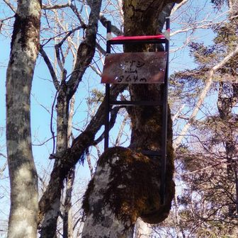 札がありました♪　１９６４メートル