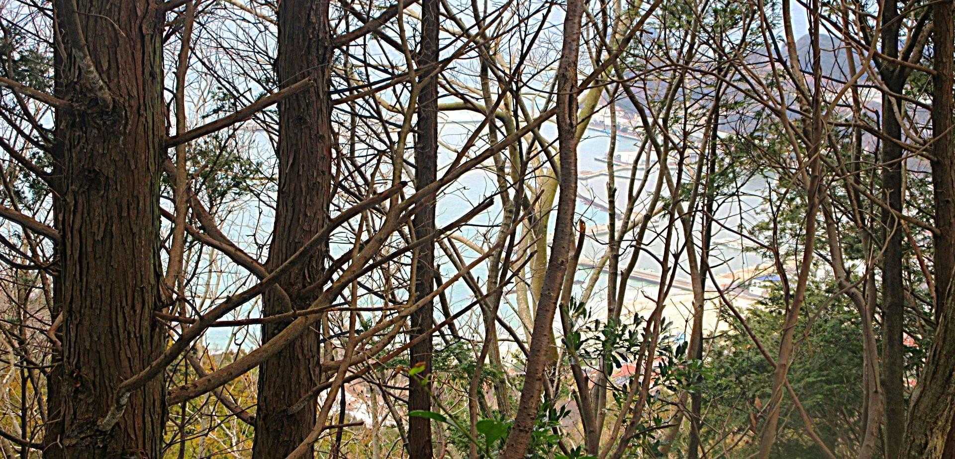 木々と白の世界に　　　　　　　　　　　　　　　　　
目に青海👀🤗　　　　　　　　　　　
