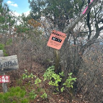 さあ、後は下るのみ