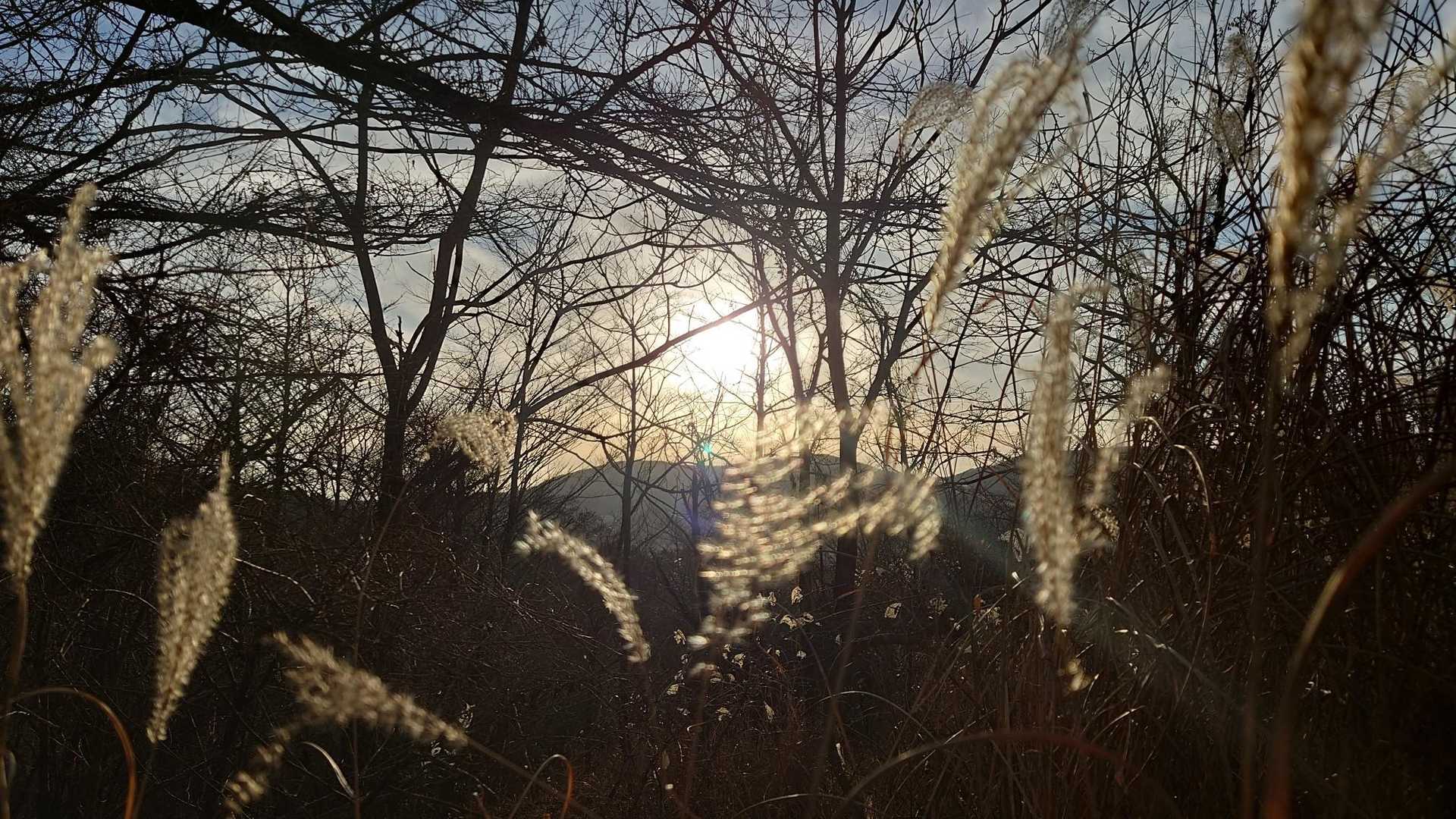 日が出てきたよ～
寒いので～
もっと照らしておくれ〜