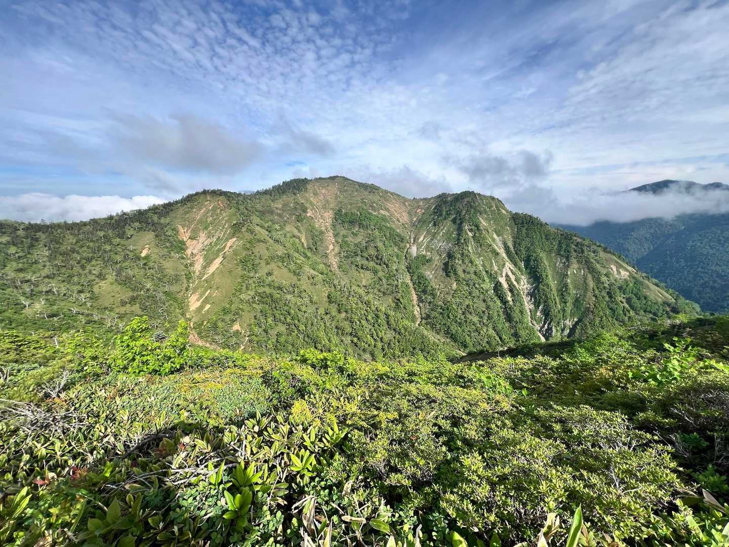 白砂山登山口-地蔵峠-地蔵山-堂岩山-猟師の頭-白砂山-中 周回コースの写真