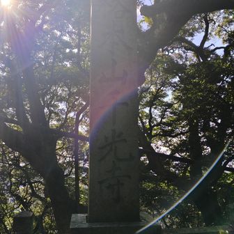 先山ｾﾝｻﾞﾝ千光寺ｾﾝｺｳｼﾞ③
http://www.awaji-13butsu.com/