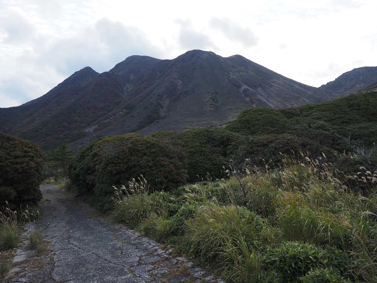 左が北峰　あそこまで行くのね‥😅