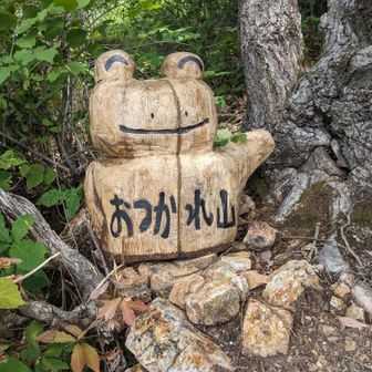 👨‍🦱長野県のフォロワー、ダンディーなKさんのチェンソーアート作品のカエルさん🐸
特急しなの号に乗り二体を背負って運ばれた内の一体のカエルさんです🐸
Kさん、お疲れ様でしたm(_ _)m
残り一体は長良山に有るとか…又拝見させて頂きます🙇⤵️