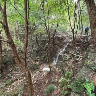 つりふねの滝を一瞥した後、登りに強いＨ氏が先頭となり沢筋を登っていきました。
