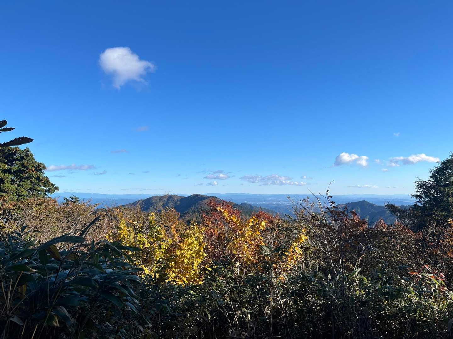 途中の景色①