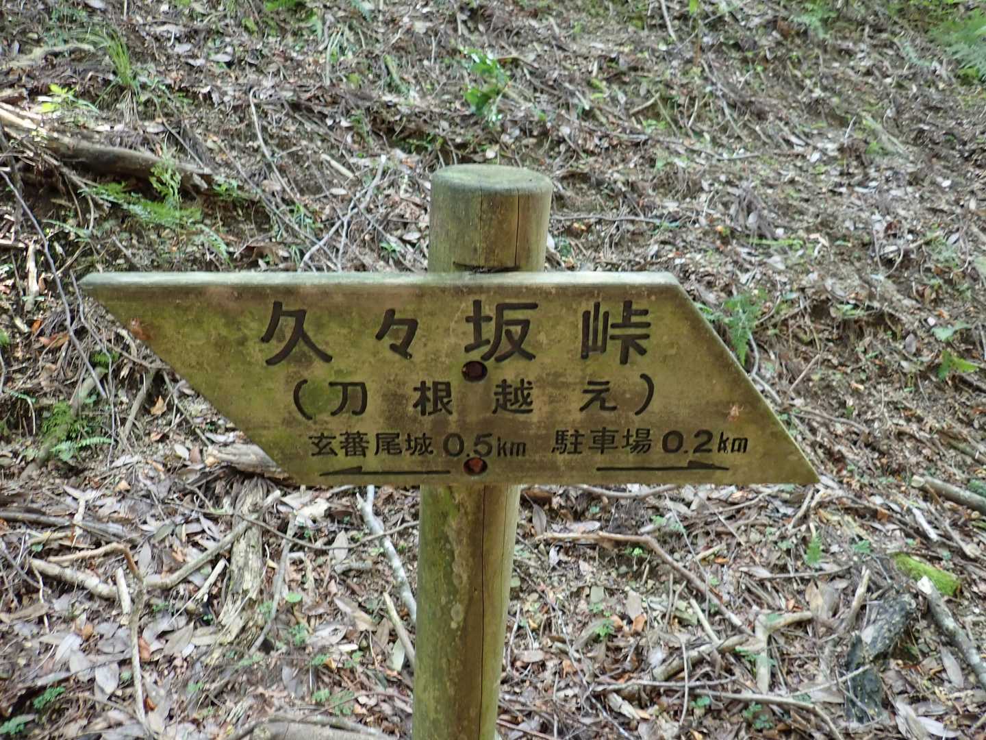 柳ヶ瀬山-玄蕃尾城 往復コースの写真