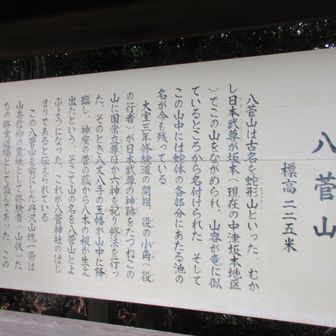 実は由緒正しい来歴がある