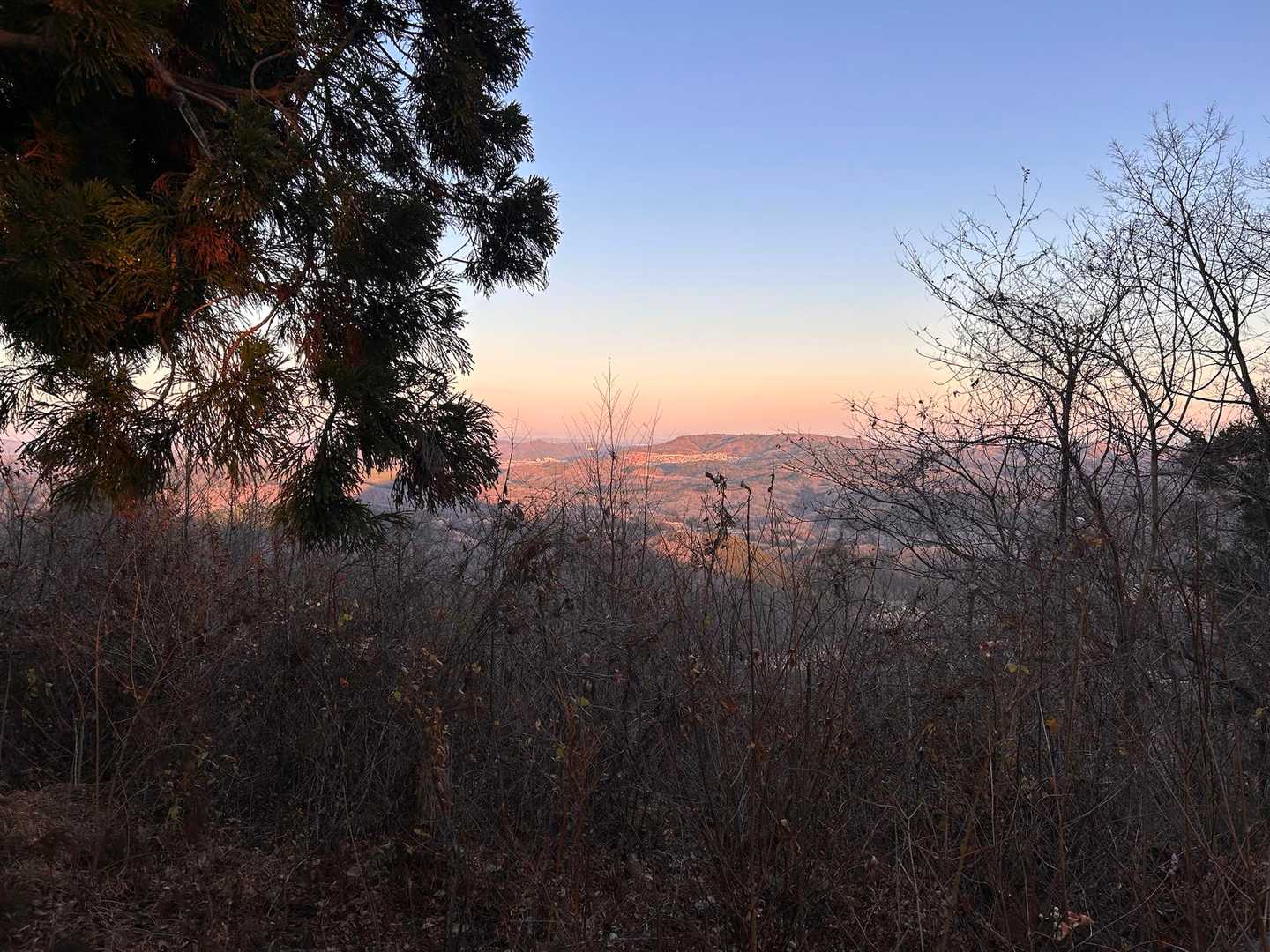 大倉山 往復コースの写真