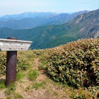 エビス大黒ノ頭登頂🥵登りの筋肉疲労がひどく、仙ノ倉山へのアップダウンがかなりしんどく感じた🥵