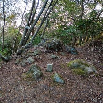 天狗山に到着ですが…脚には相当のダメージ、疲労が早くも溜まっています